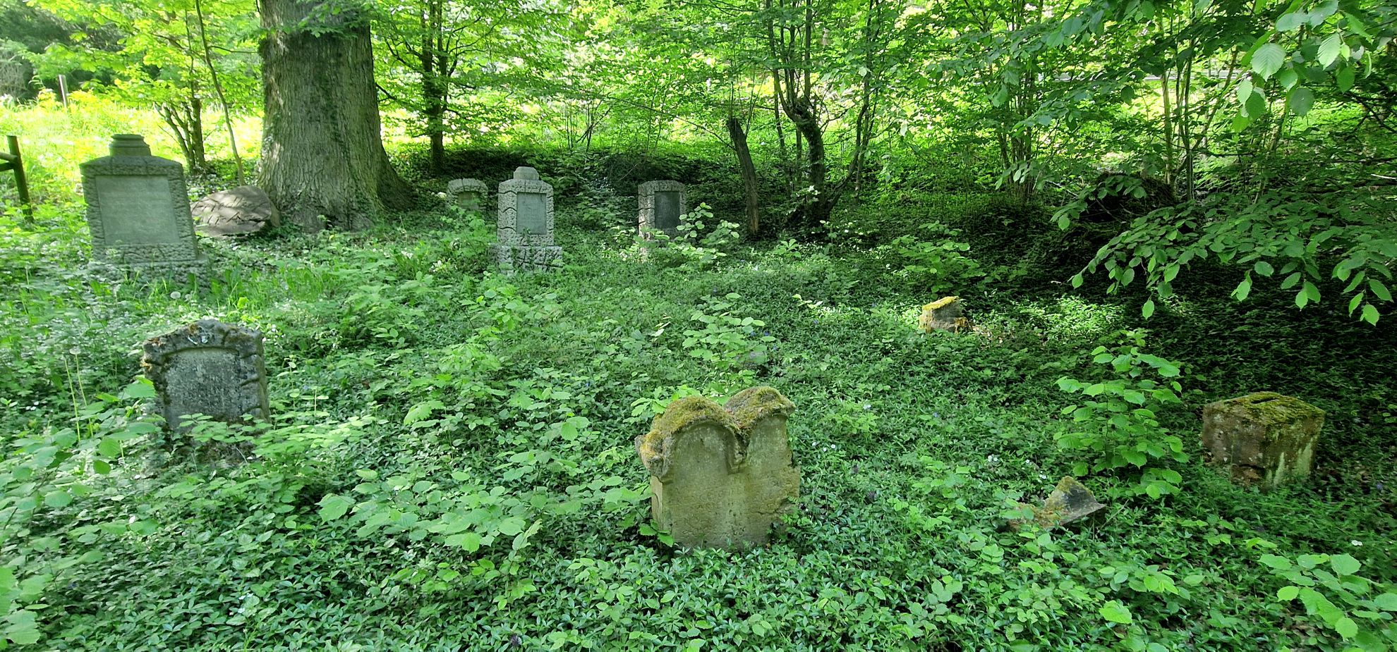 Der alte Aseler Friedhof heute