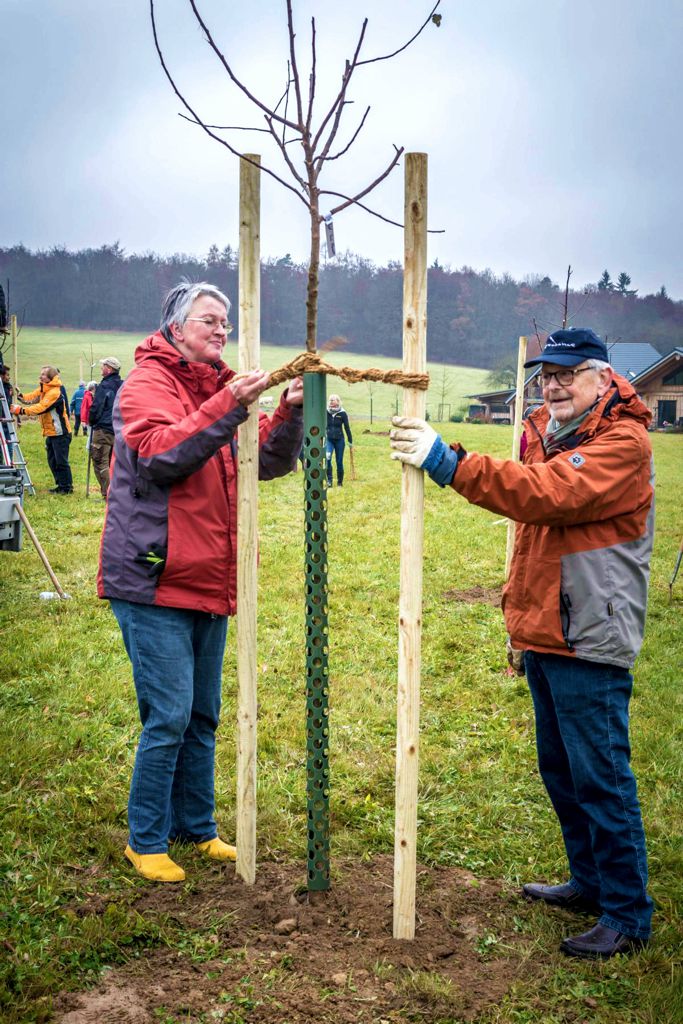 Ein weiterer Baum wurde gepflanzt